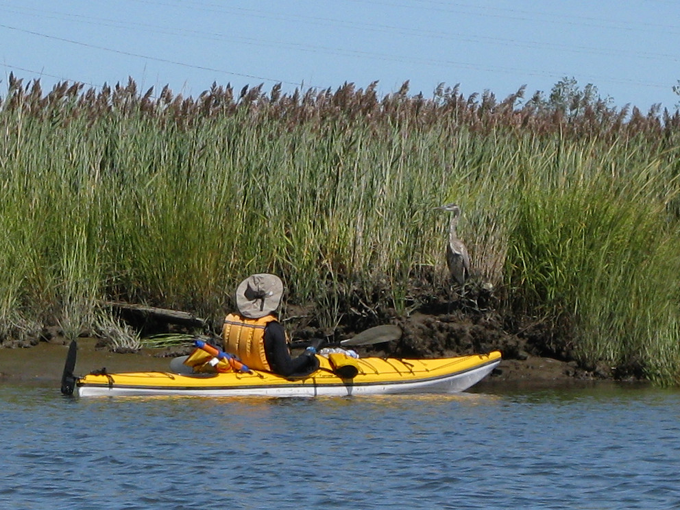 Hackensack Riverkeeper Paddle